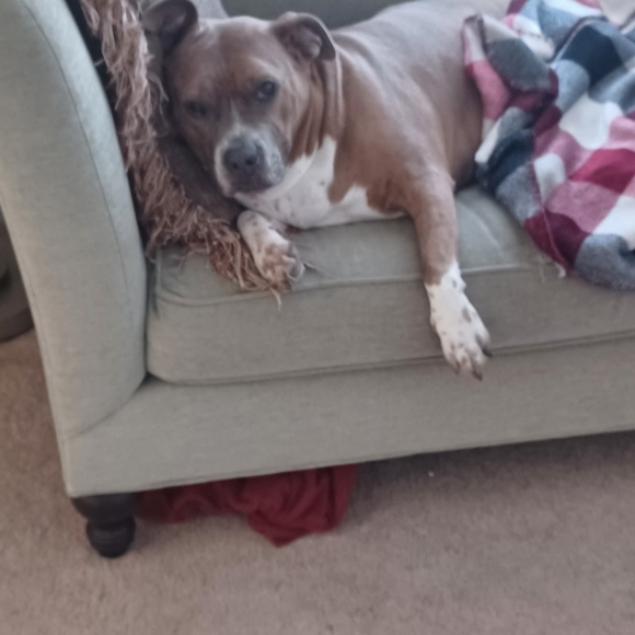 my live show flyer - Picture 3 of 8